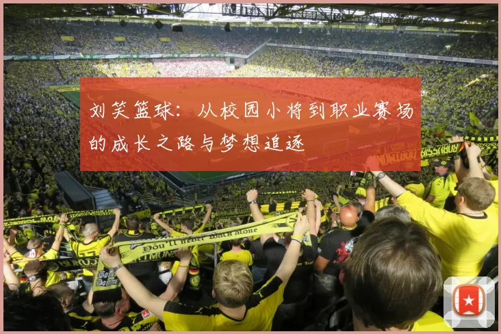 刘笑篮球：从校园小将到职业赛场的成长之路与梦想追逐