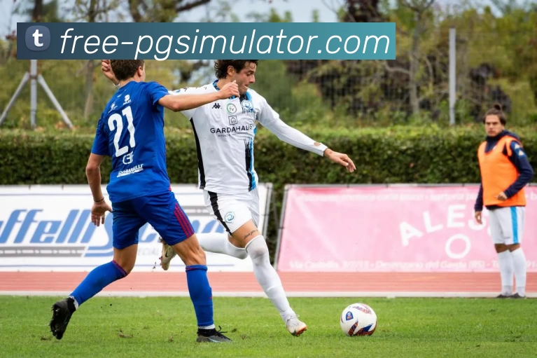 在线试玩平台生态图